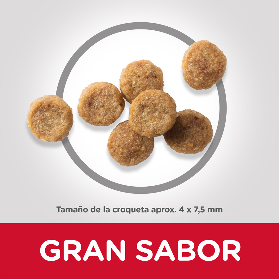 Hill's Science Plan Youthful Vitality Adulto +7 Pequeno e Mini Pollo pienso para perros