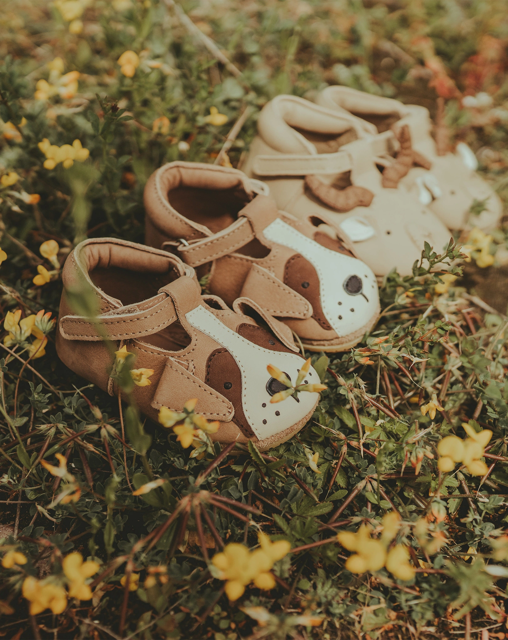 Krabbelschuhe SPARK SPECIAL - BERNARD in truffle