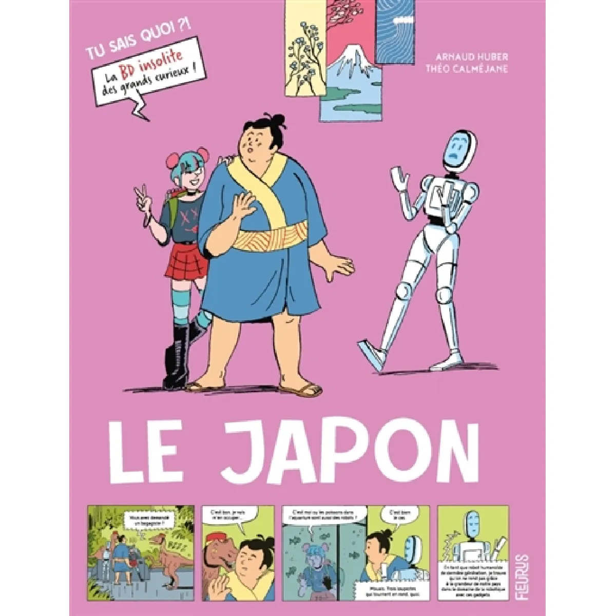 Le Japon · Occasion