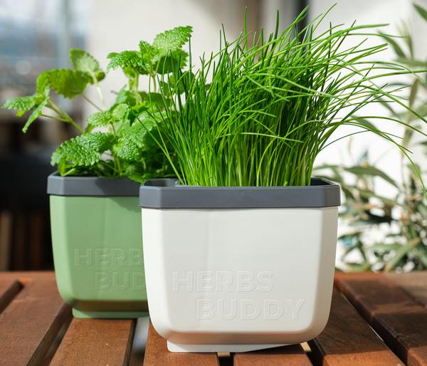 Gusta Garden Kräutertopf Herbs Buddy, ca.
