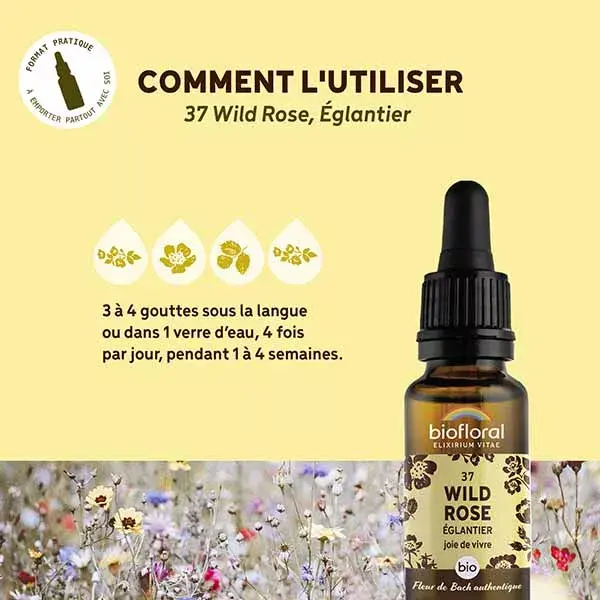 Biofloral Fleur De Bach 37 Wild Rose Eglantier Bio Demeter 20 ml