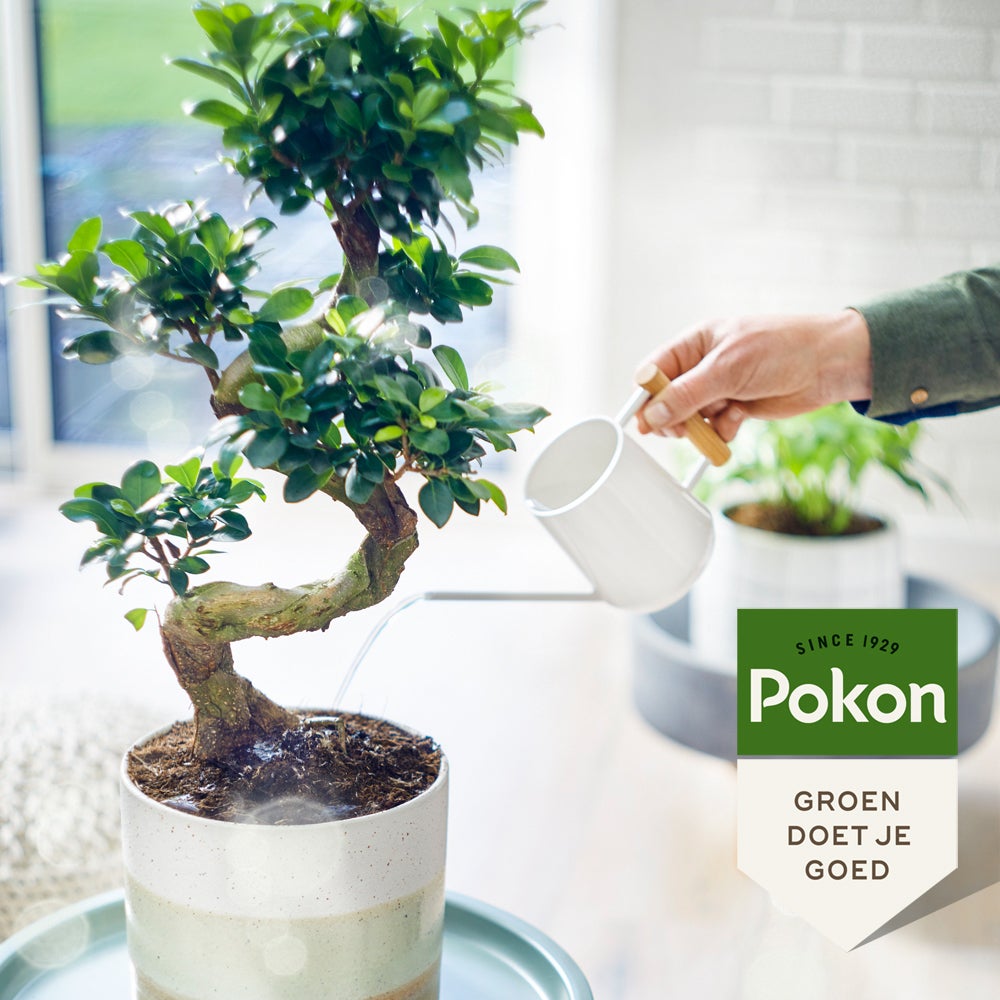 Pokon bio bonsai voeding 250 ml