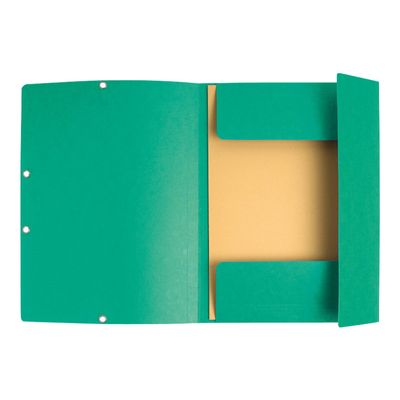 Exacompta Nature Future - 10 Chemises à 3 rabats - A4 - pour 250 feuilles - vert