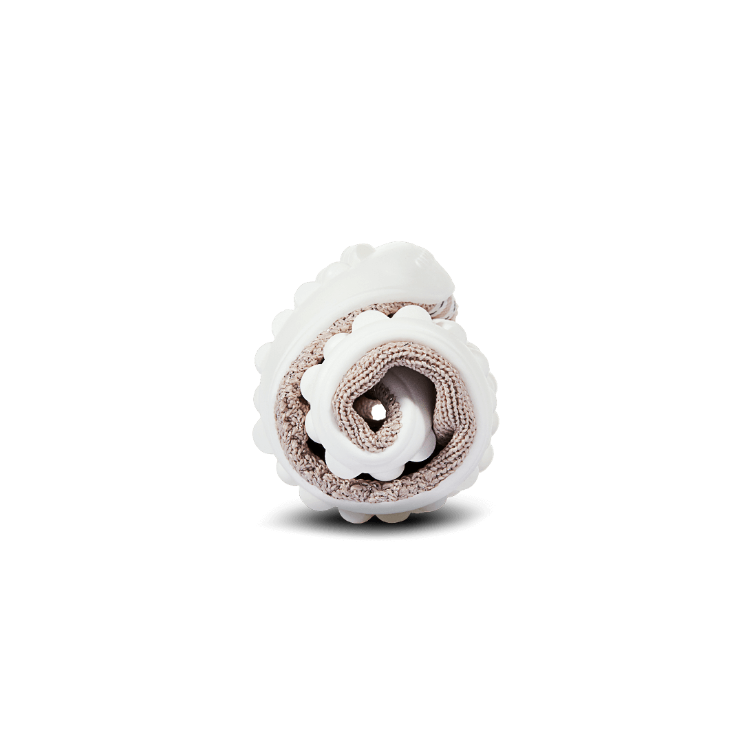 leguanito scio rose