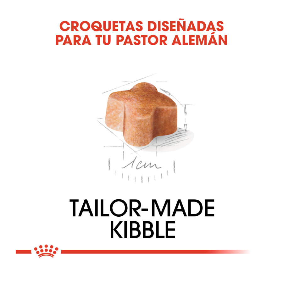 Ração Royal Canin para filhotes de Pastor Alemão