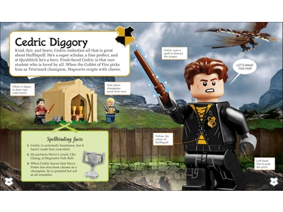 LEGO A Spellbinding Guide to Hogwarts™ Houses (5007615)