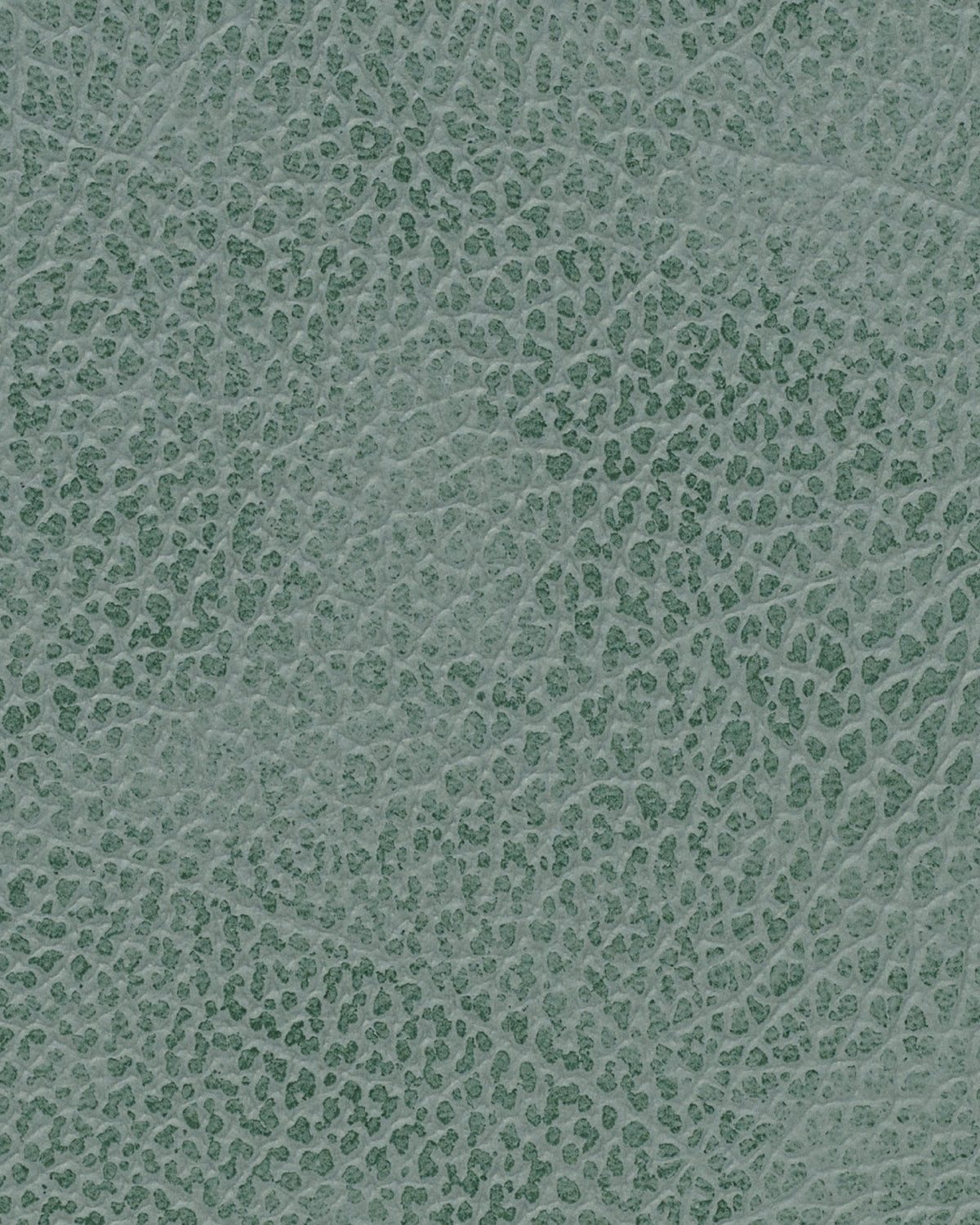 LIND DNA Placemats Hippo - Leer - Pastel Green - 45 x 35 cm - 2 Stuks