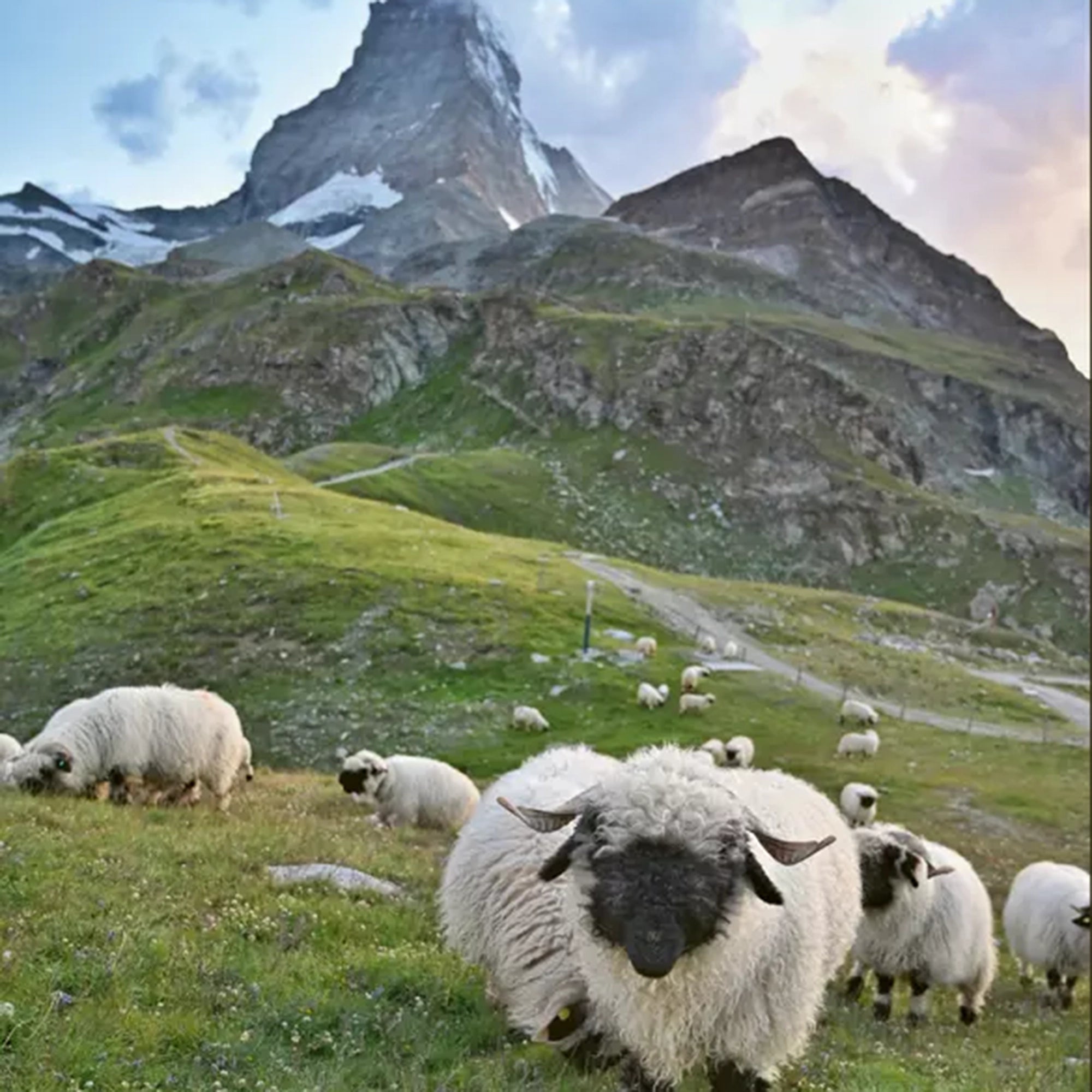 Buch Frischluftabenteuer Schweiz