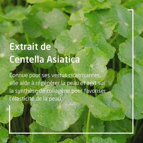Kit Ritual para Estrias Weleda: Óleo 100ml + Bálsamo 150ml