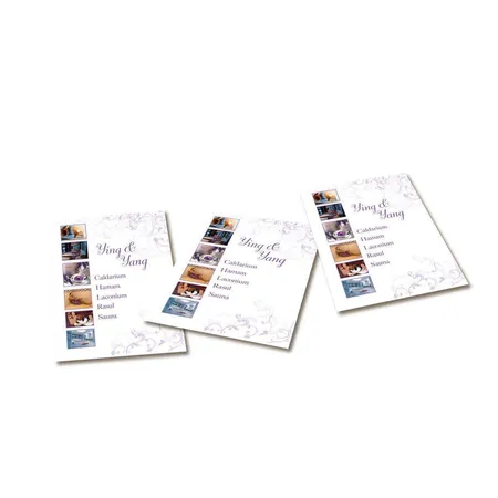 Avery Zweckform 2579-100 Superior Inkjet Papier, DIN A4, einseitig beschichtet, 150 g/m², 100 Blatt
