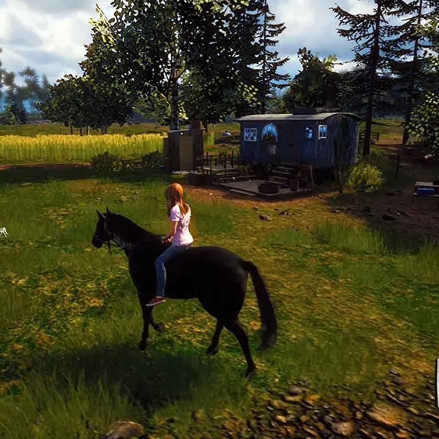 Windstorm: Start of a Great Friendship - Remastered- PlayStation 5