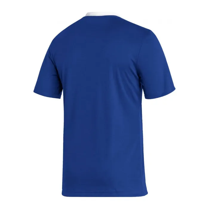 Adidas Entrada 22 SS Shirt Heren