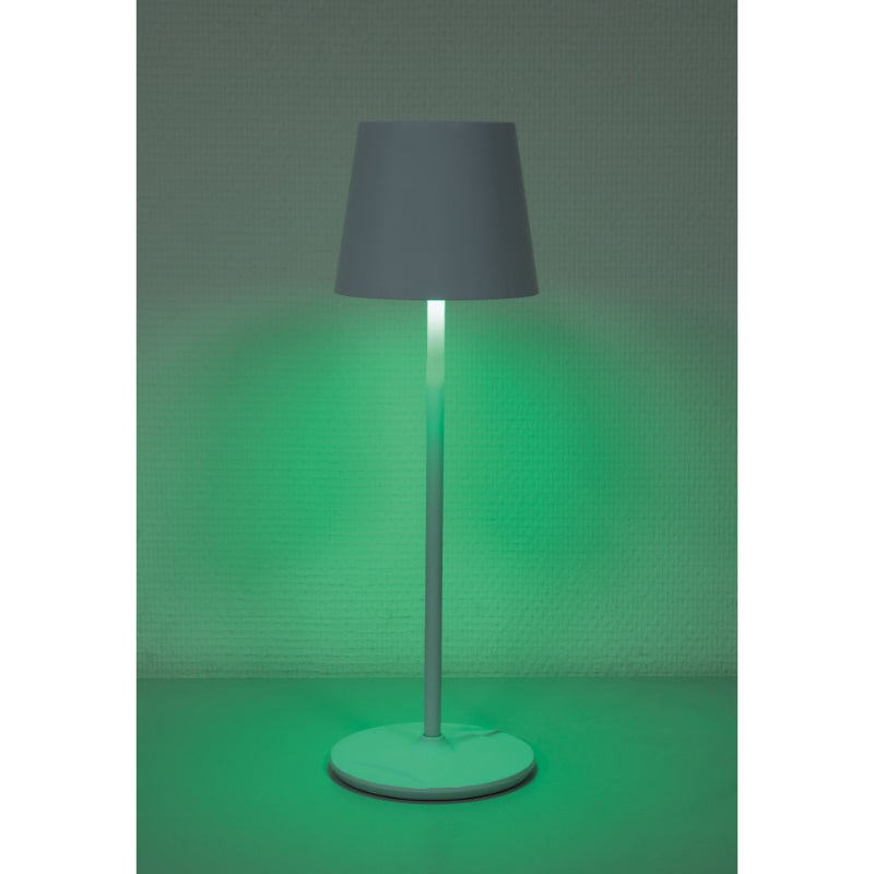 Showtec EventLITE Table-RGBW wit