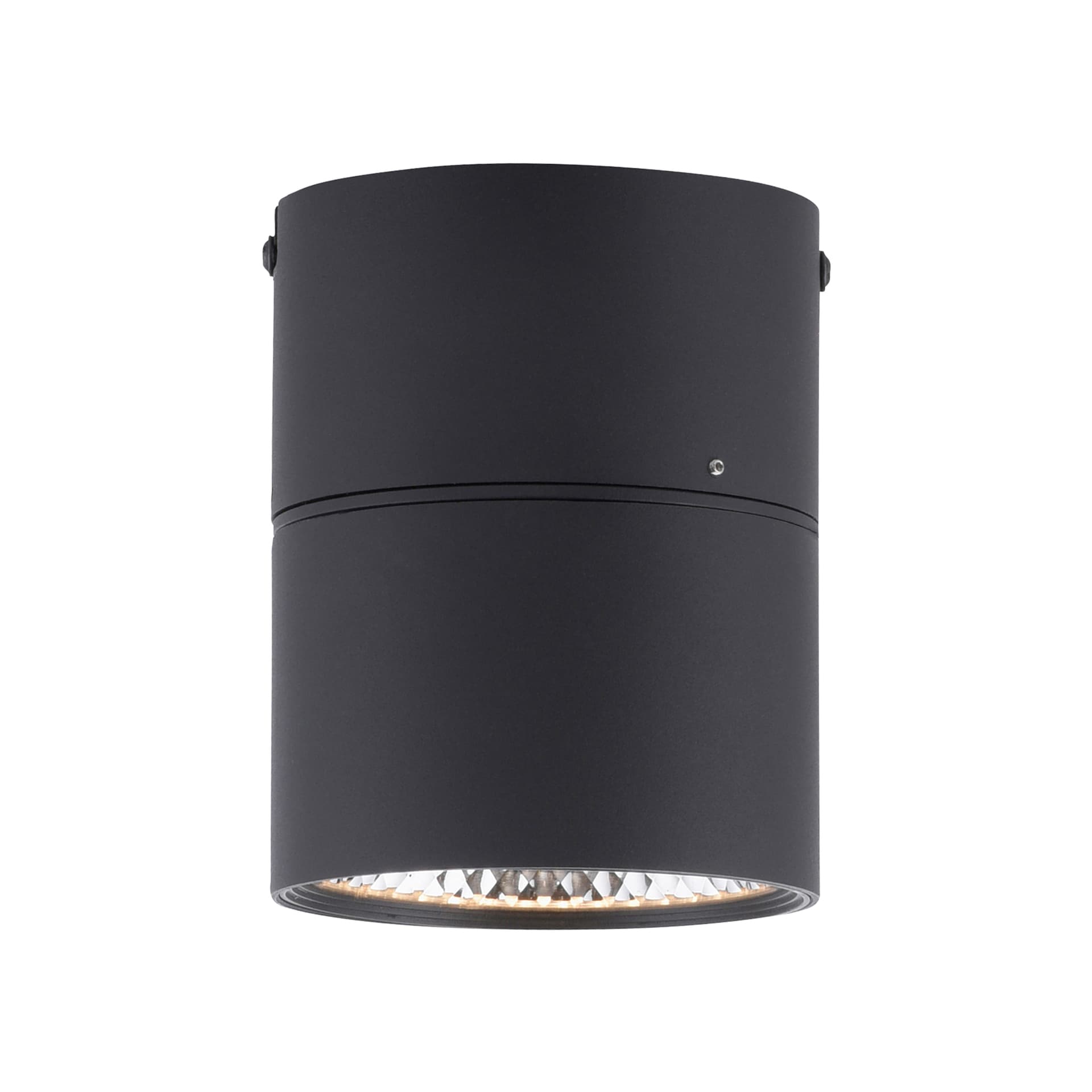 Paul Neuhaus LED Deckenlampe mit 1 Spots PURE-NOLA 15 cm schwarz