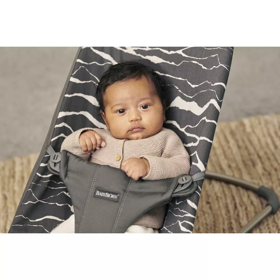 BABYBJÖRN Babywippe Bliss Cotton AnthrazitLandscape