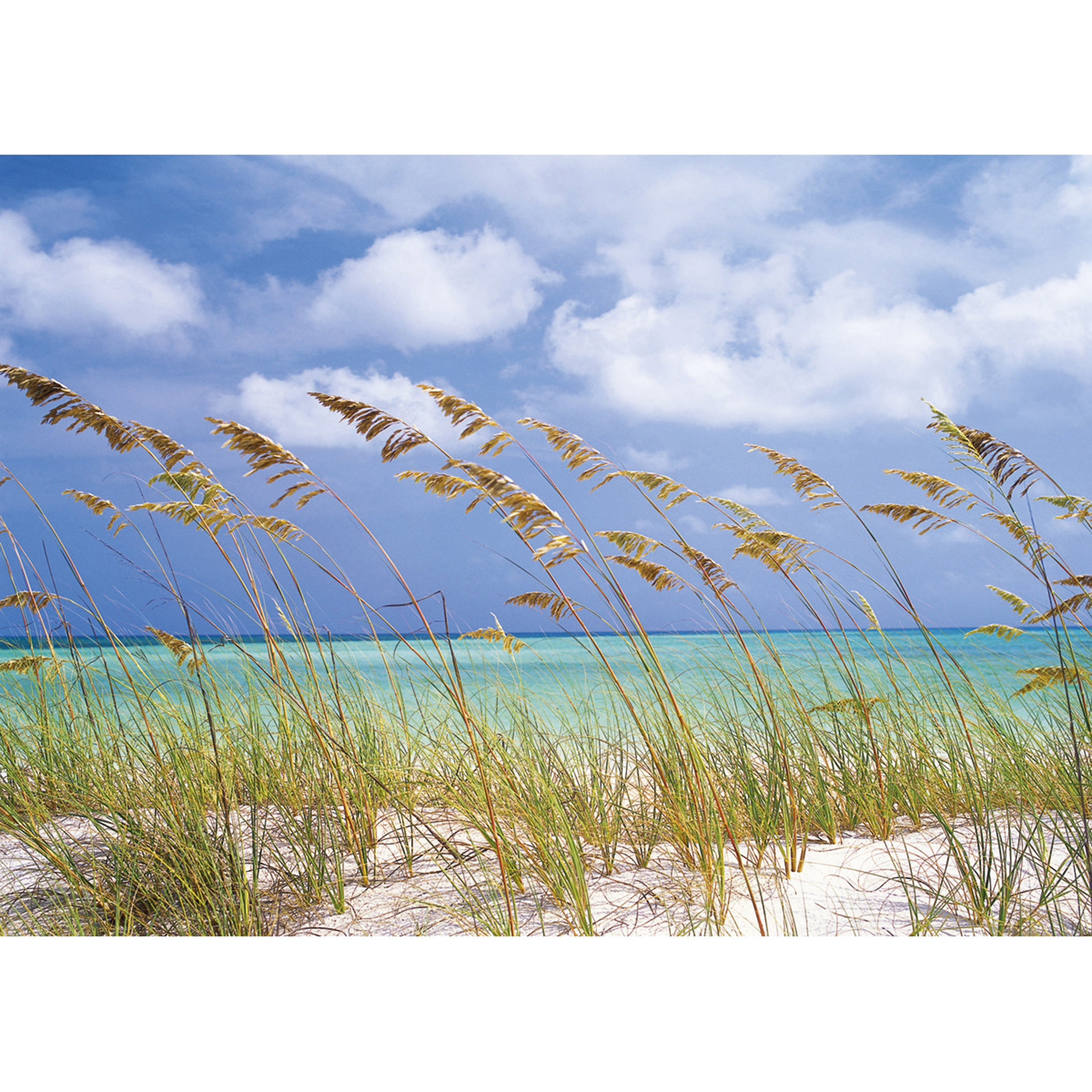Papier-Fototapete OCEAN BREEZE - blau-grün-beige - 368x254 cm