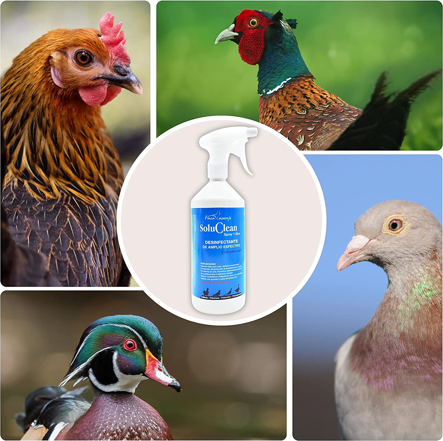 Finca Casarejo Soluclean, produto natural de desinfecção à base de plantas para instalações.