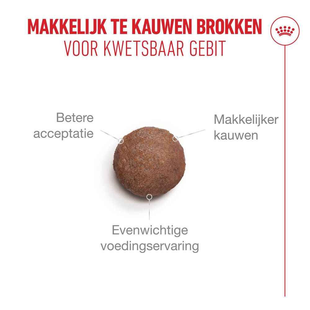 Royal Canin Ageing 15  - Kattenvoer - 0.4 Kilogram