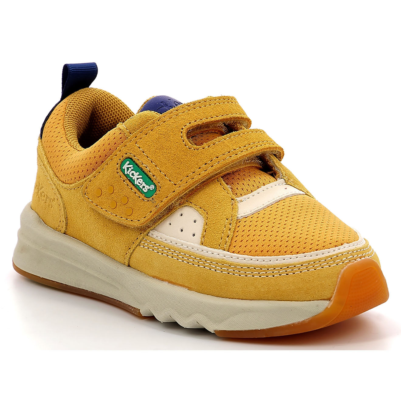 Kickers Baskets en Cuir Kikustom camel/marine