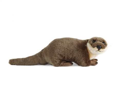 Large Otter