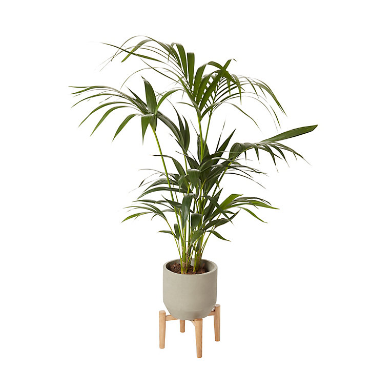 Pot cloche béton ø19 cm