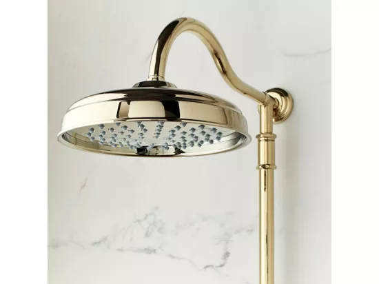 Colonne de douche JACOB DELAFON Cléo 1889 Or beige + nettoyant Briochin