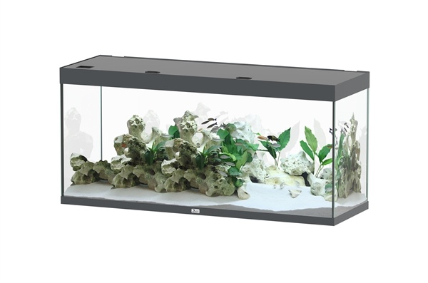Aquatlantis Sublime 150x50 aquarium | Gloednieuw