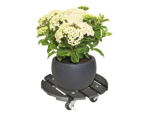 Plantenwagen WPC Ø 29 cm max. draagvermogen 100 kg antraciet