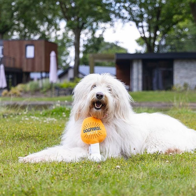 Beeztees Apawrol Pluche Hond | 15796