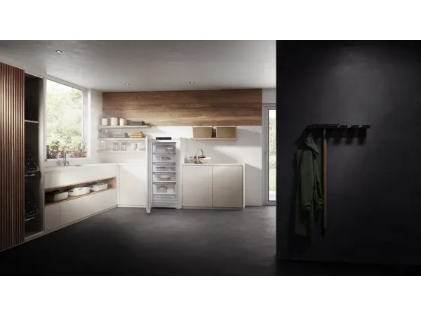 Liebherr FNa 6625-20 001 Fryseskab - FS, PLUS, Freezer, NoFrost, Energy A, 145x70cm