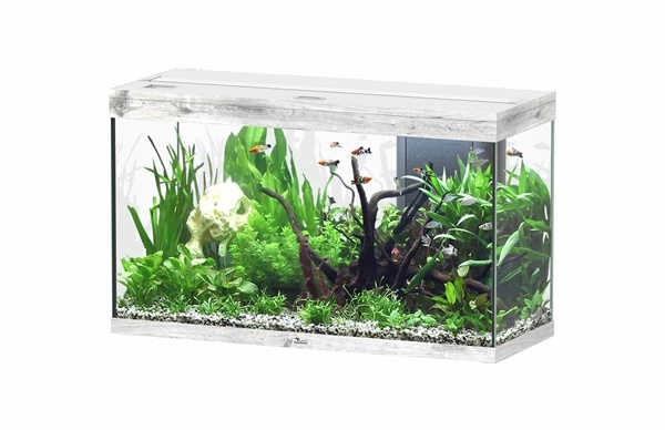 Aquatlantis Splendid 100 aquarium | Inclusief LED en filter