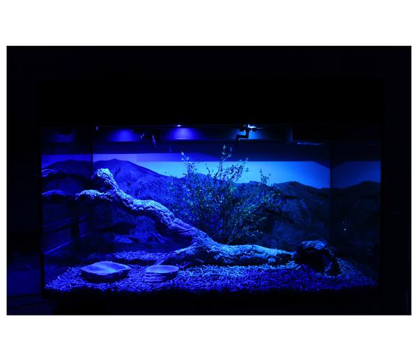 Lucky Reptile Starter Kit Komplettset
