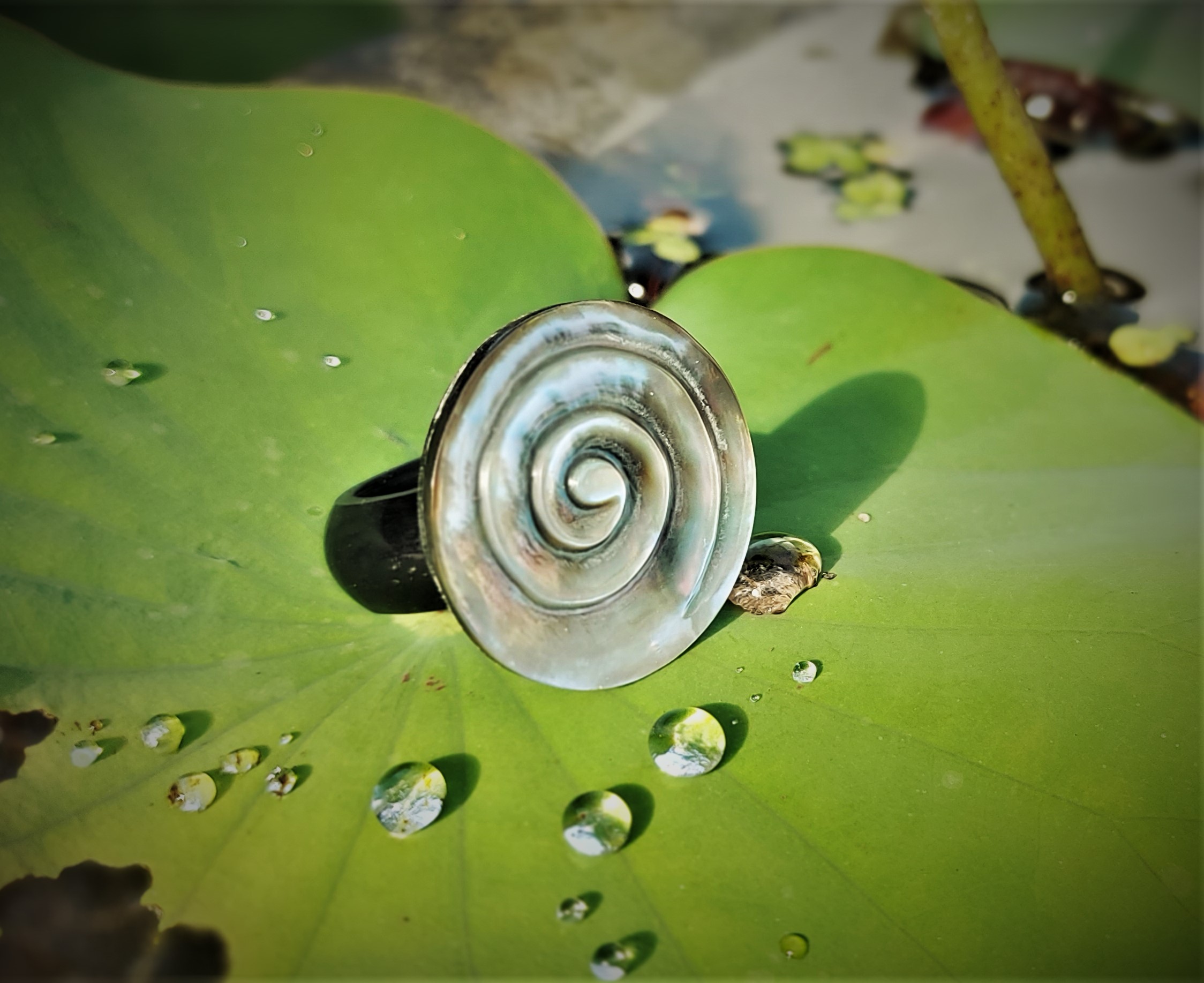 Ring 'Muschel-Spirale', natur, schwarz, Ø 4 cm günstig bestellen