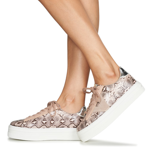 Victoria -  - Rose