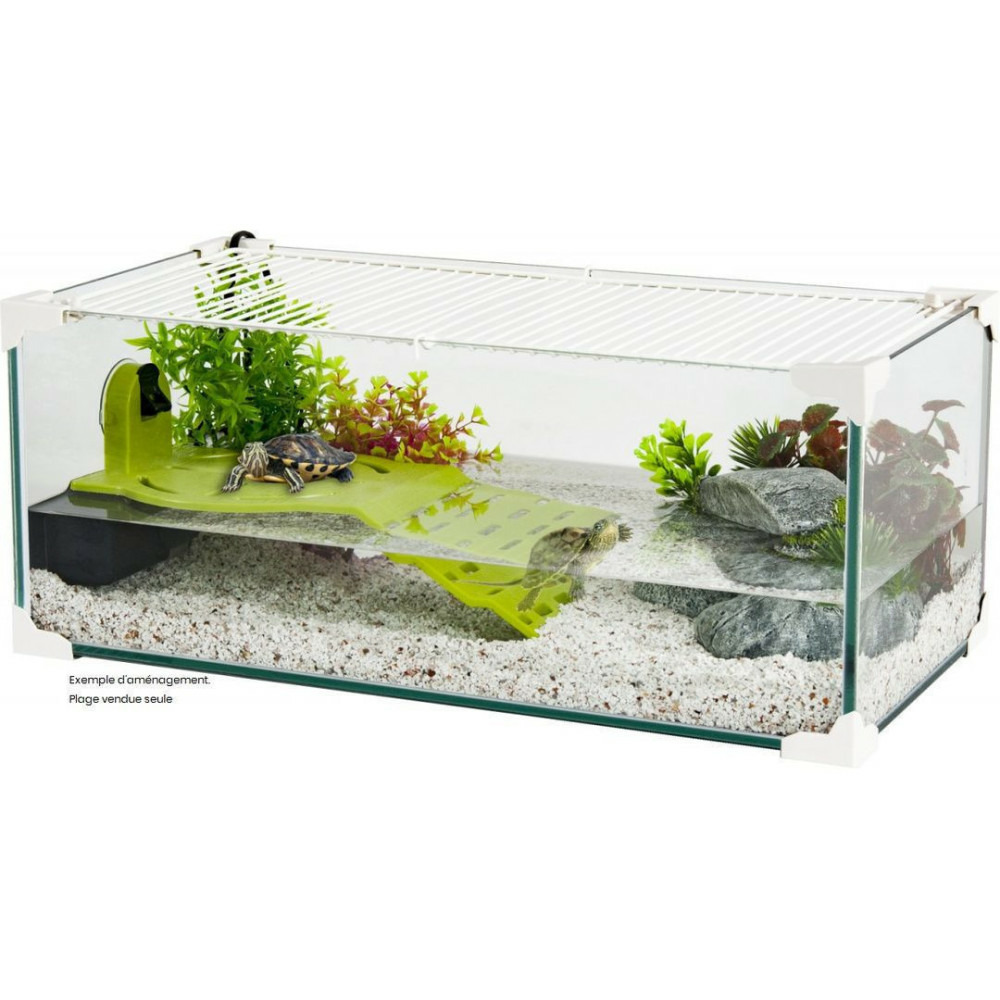 Plage karapas vert pour tortues, 33 cm.