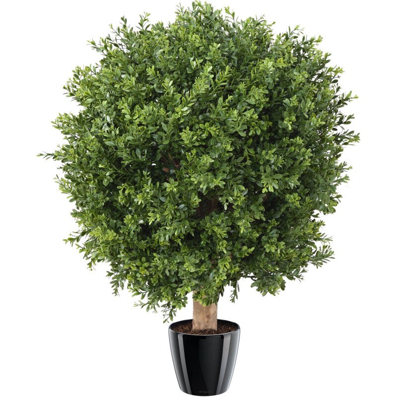 Plante artificielle d'intérieur Boule de buis