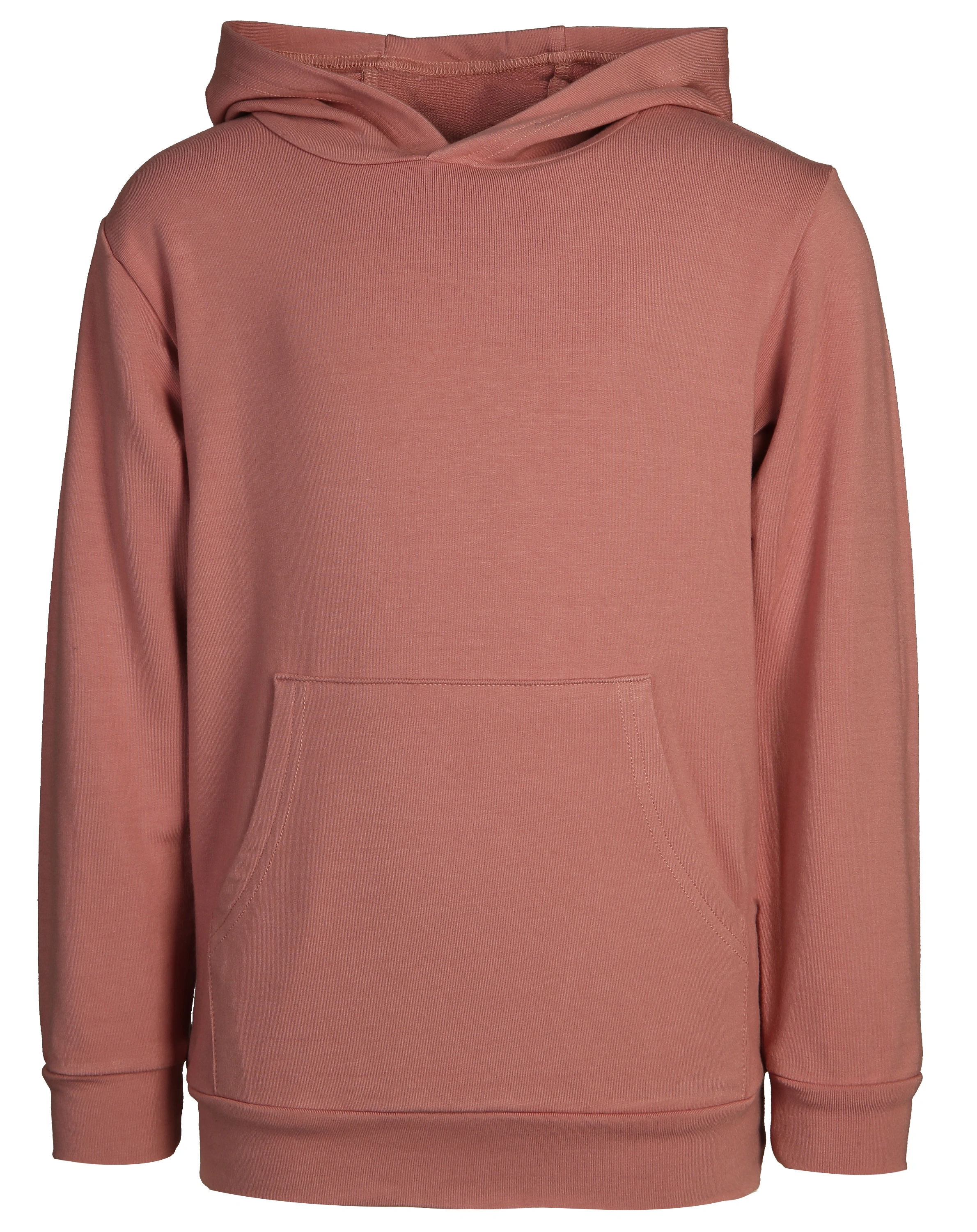 Kapuzen-Sweatshirt STINUS in ash rose