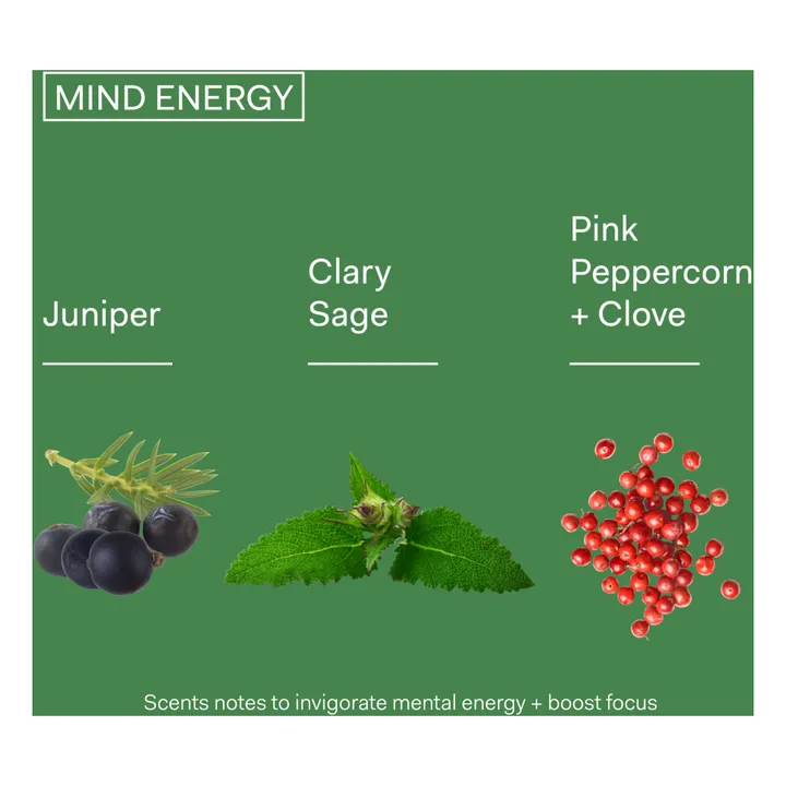 The Nue Co Parfum Mind Energy  - 50ml
