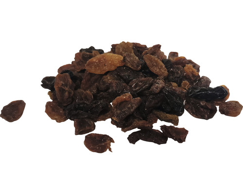 Winter vogelvoer funmix rozijnen 1kg