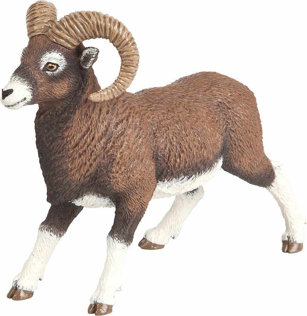 Mouflon