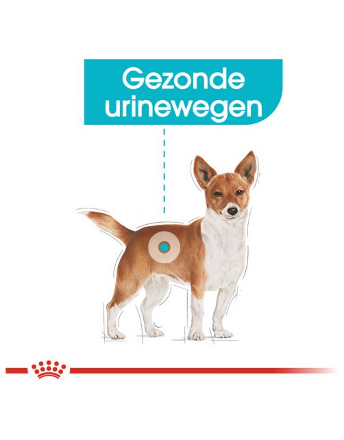 Royal Canin Urinary Care Natvoer - Hondenvoer - 85 g