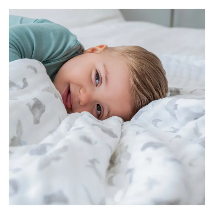 aden + anais Couverture de rêve Map The Stars | Gris clair