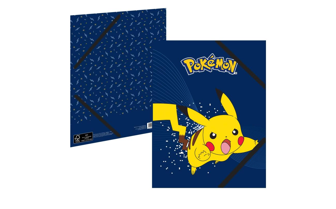 Pokemon elastomap A4