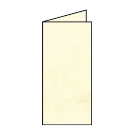 Rössler Coloretti Karten, DL, hd, chamois marmoriert, 5 Stück