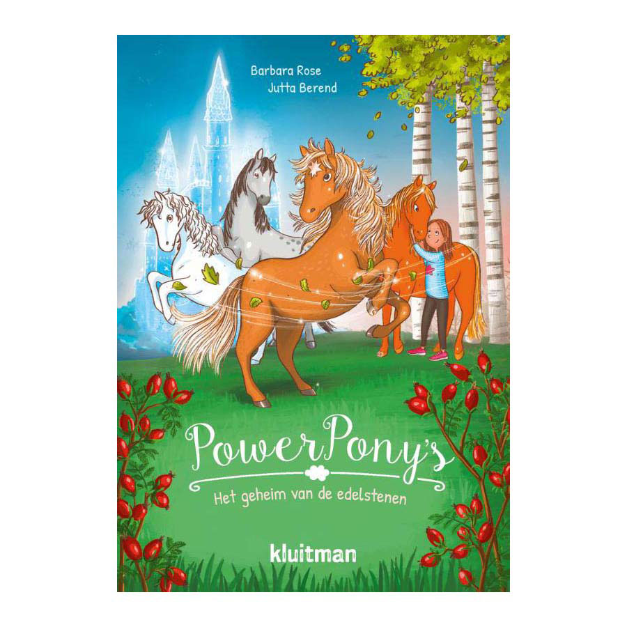 Power Pony's. Het geheim van de edelstenen