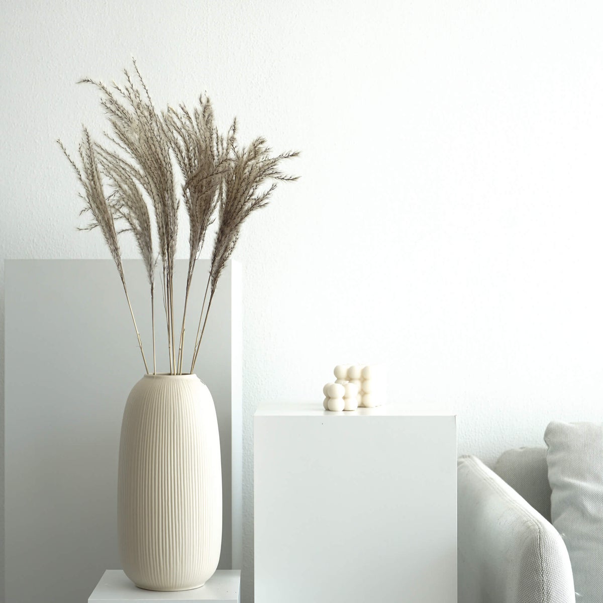 Vedergras I Miscanthus - 1 stengel