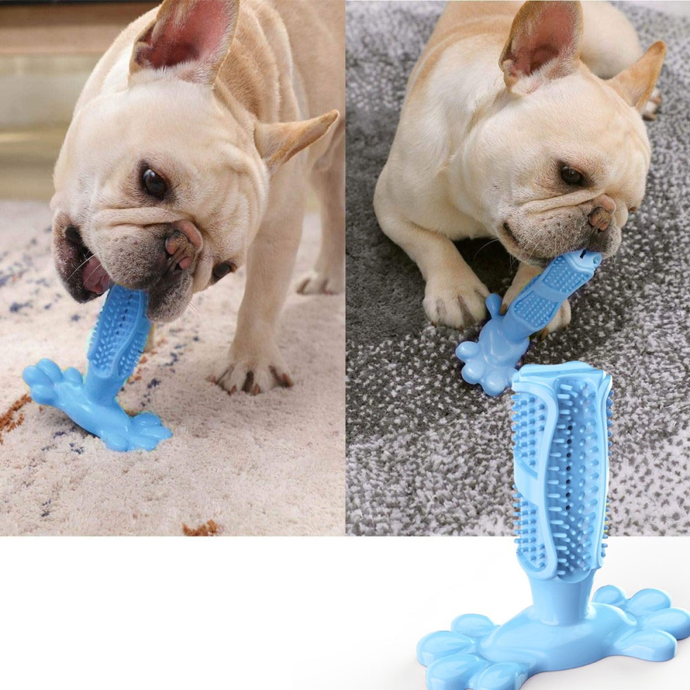 Natürlicher Hunde Zahnreiniger Kauspielzeug für die Zahnpflege Bissfest (Naturkautschuk) - Blau