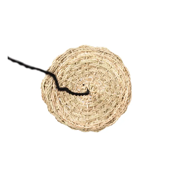 Cosydar Système électrique, rosace en corde