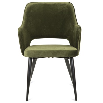 KARWEI eetkamerstoel Puck bladgroen polyester stof met armleuning