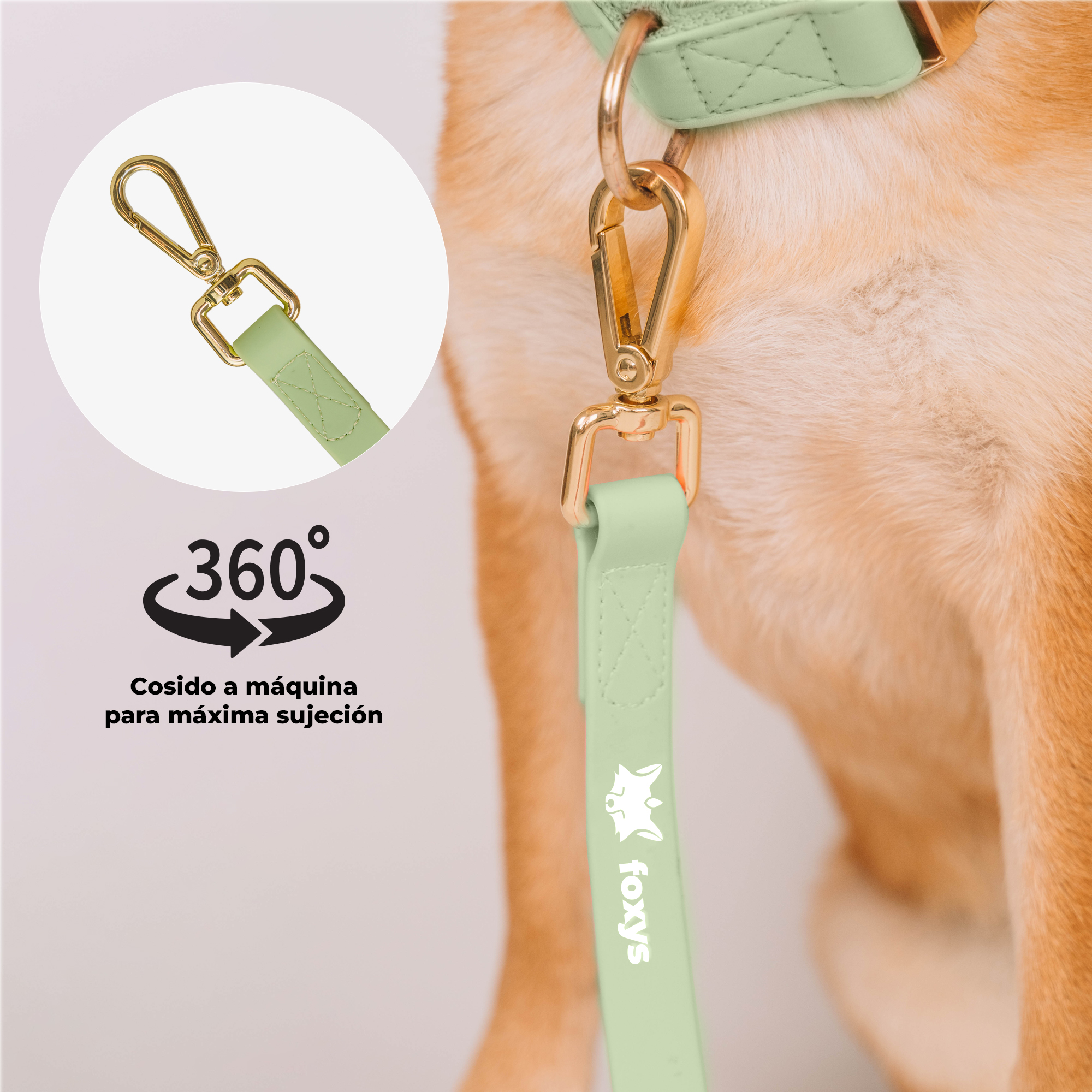 Guia de Treinamento Foxys Freedom para Cães | Guia Verde, Resistente a Mordidas, Impermeável, Elegante e Muito Fácil de Limpar